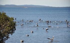 Denmark Waters B&B